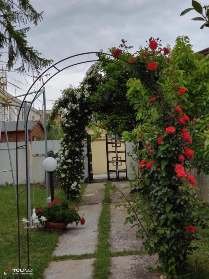 Carol E Bed & Breakfast