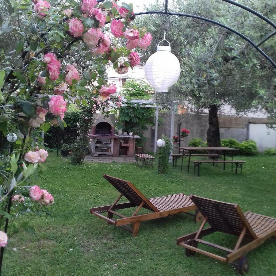 Bed & Breakfast Carol E